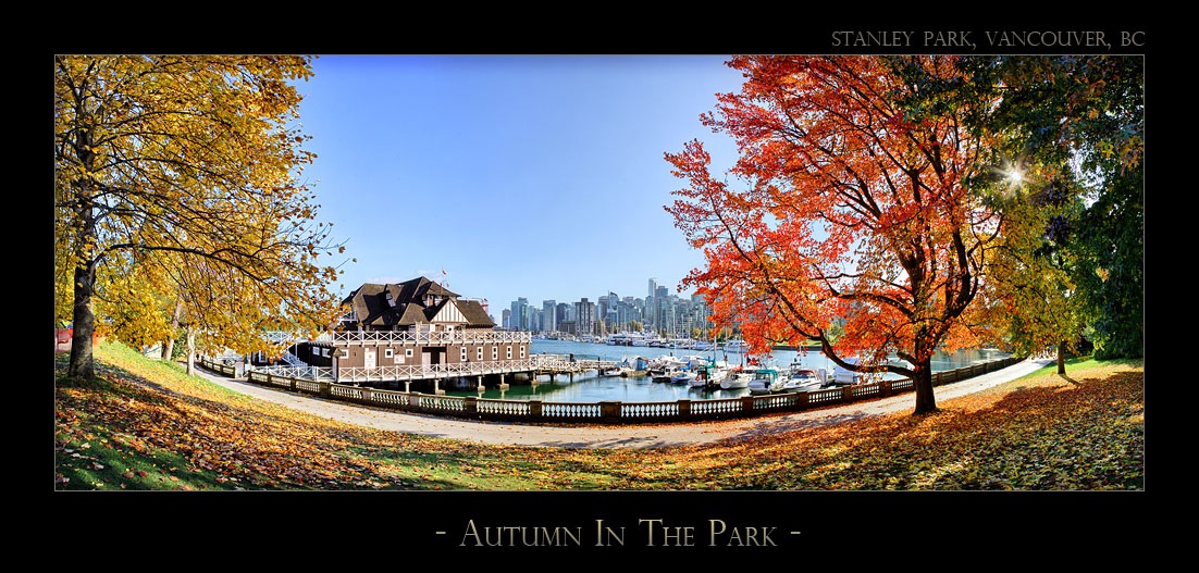 Autumn In The Park - 2784