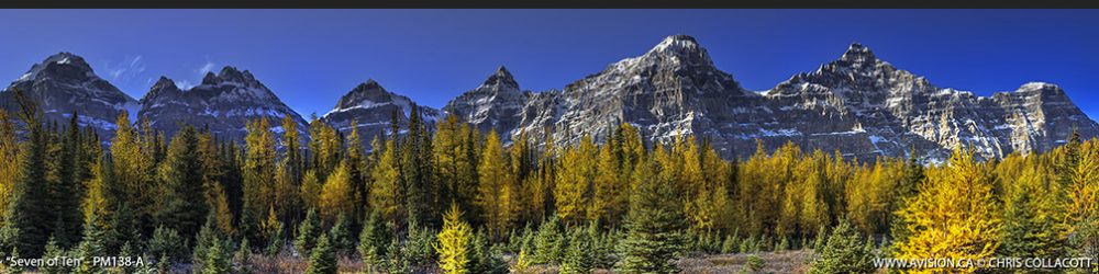 PM138-A-Seven-Of-Ten-Larches-Valley-of-Ten-Peaks-Banff-National-Park-Chris-Collacott