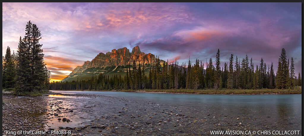 PM082-B-King-Of-The-Castle-Rockies-Banff-National-Park-Alberta-Canada-Chris-Collacott copy (1)