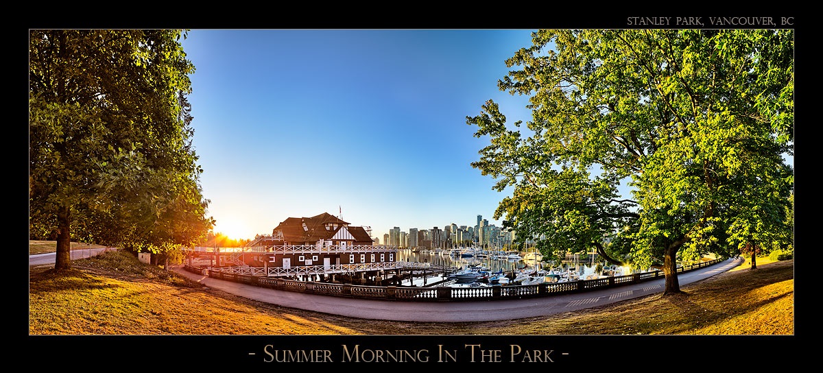 Summer Morning In The Park - 6897