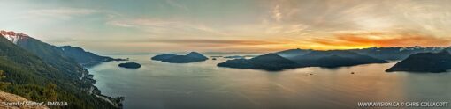 Sound of Silence