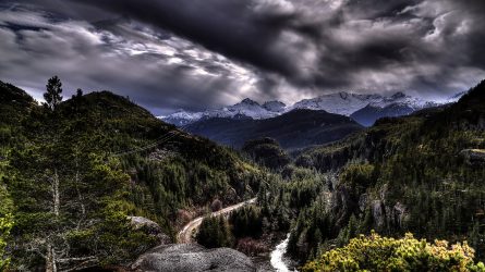 Cheakamus' Last Stand