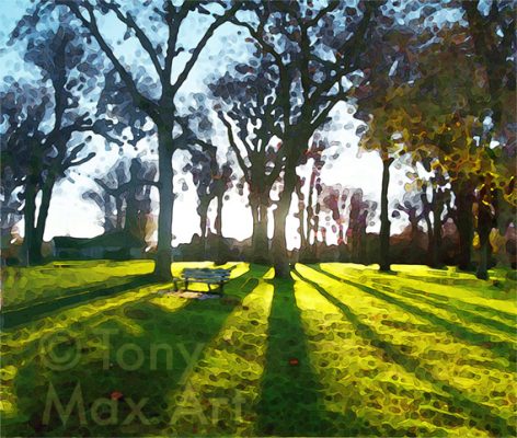 Kits-Backlit-Trees