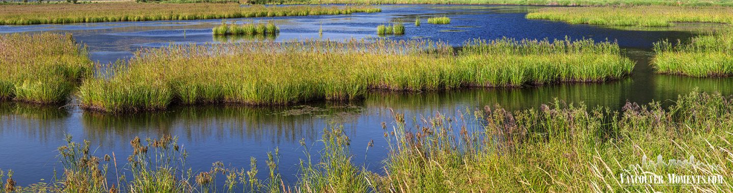 Marshlands_Panorama_ML157A1