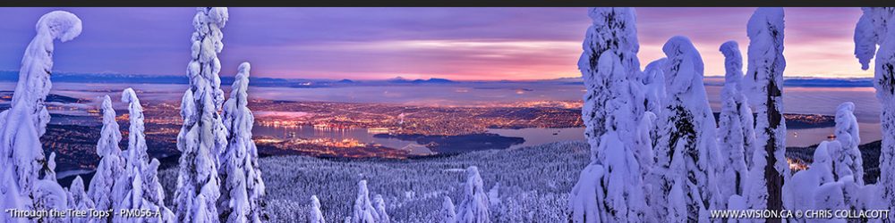 PM056-Through-The-Tree-Tops-Vancouver-Cypress-Holyburn-Peak-Chris-Collacott-Photography-Panoramic copy