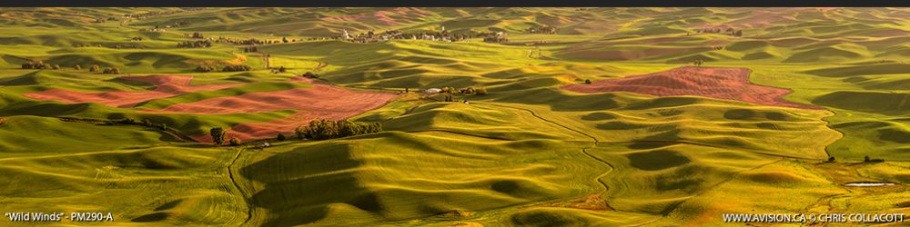 PM290-Wild-Winds-Steptoe-Butte-Panorama-WA-USA-Chris-Collacott