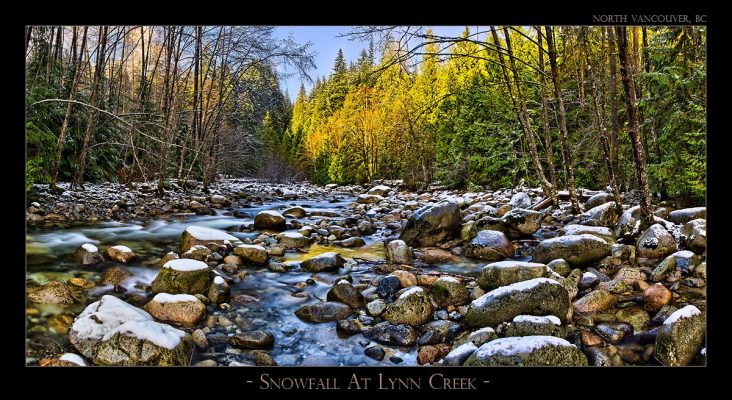 Snowfall At Lynn Creek