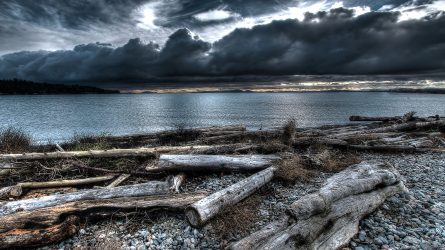 Tsawwassen Beach Comb