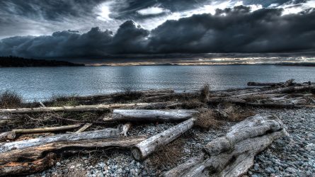 Tsawwassen Beach Comb